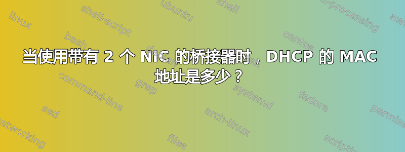 当使用带有 2 个 NIC 的桥接器时，DHCP 的 MAC 地址是多少？