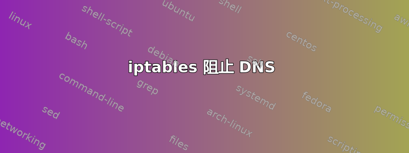 iptables 阻止 DNS