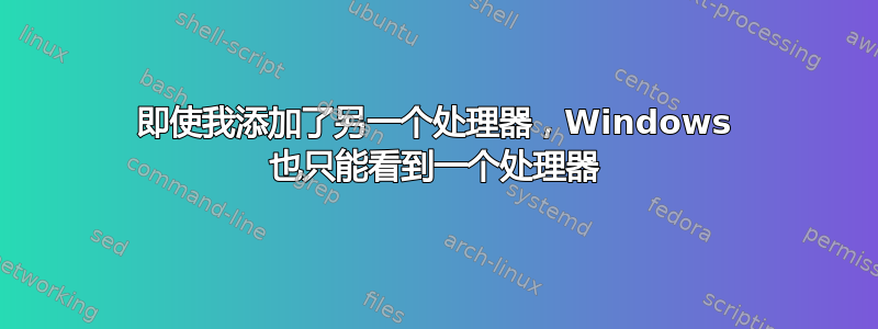 即使我添加了另一个处理器，Windows 也只能看到一个处理器