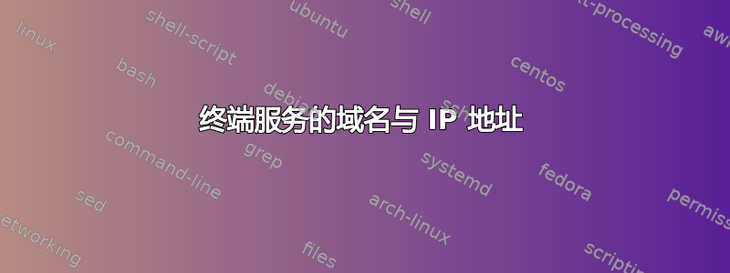 终端服务的域名与 IP 地址