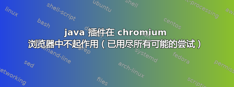 java 插件在 chromium 浏览器中不起作用（已用尽所有可能的尝试）