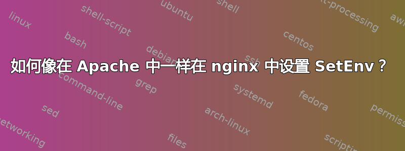 如何像在 Apache 中一样在 nginx 中设置 SetEnv？