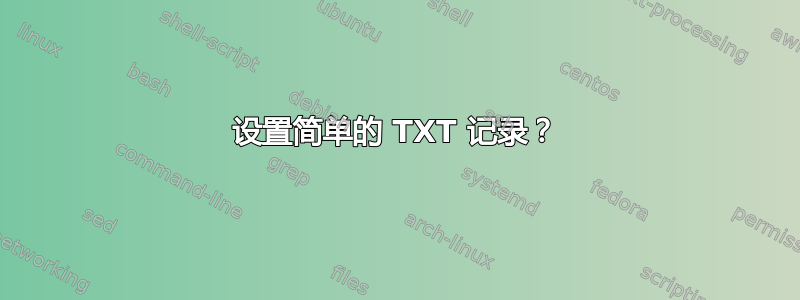 设置简单的 TXT 记录？