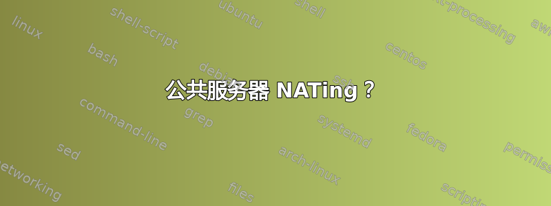 公共服务器 NATing？