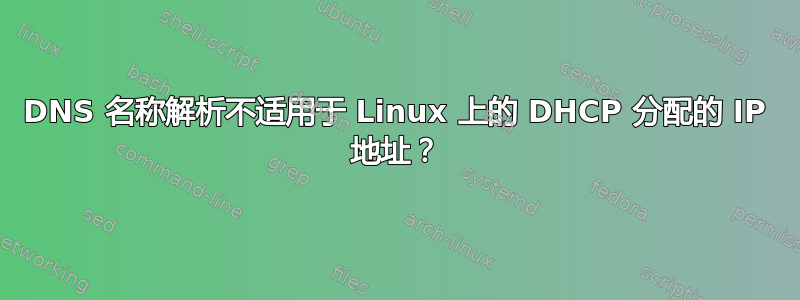 DNS 名称解析不适用于 Linux 上的 DHCP 分配的 IP 地址？