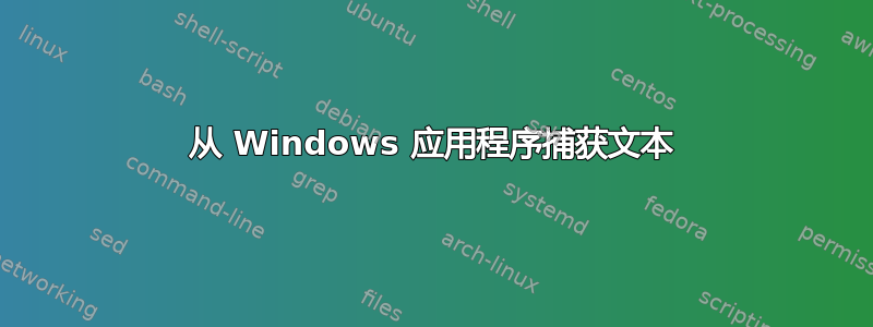 从 Windows 应用程序捕获文本