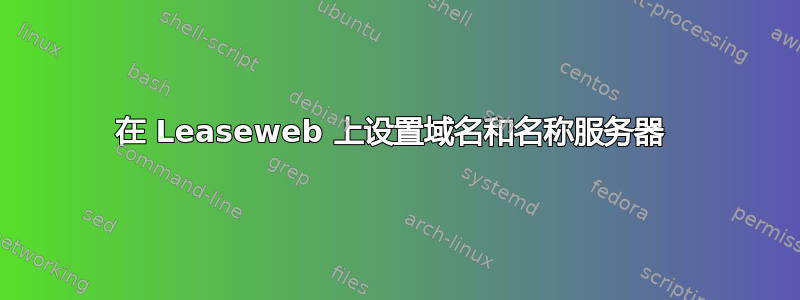 在 Leaseweb 上设置域名和名称服务器 