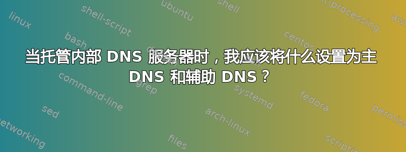 当托管内部 DNS 服务器时，我应该将什么设置为主 DNS 和辅助 DNS？