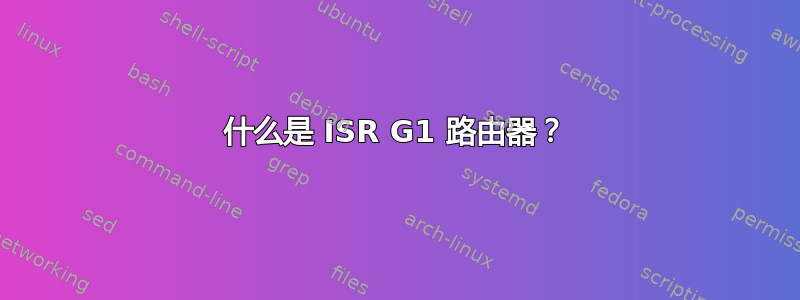 什么是 ISR G1 路由器？