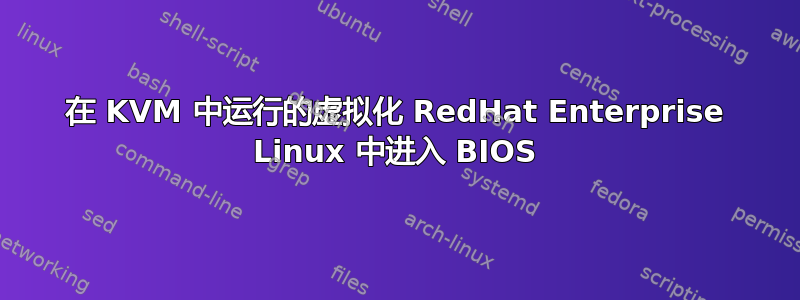 在 KVM 中运行的虚拟化 RedHat Enterprise Linux 中进入 BIOS