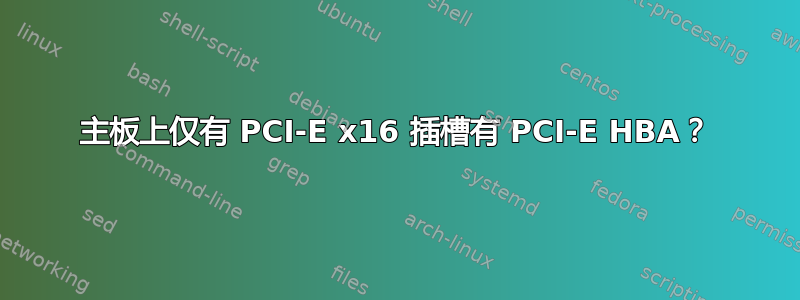 主板上仅有 PCI-E x16 插槽有 PCI-E HBA？