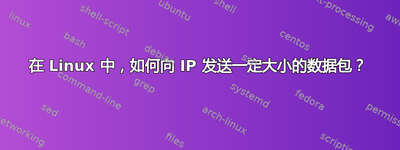 在 Linux 中，如何向 IP 发送一定大小的数据包？