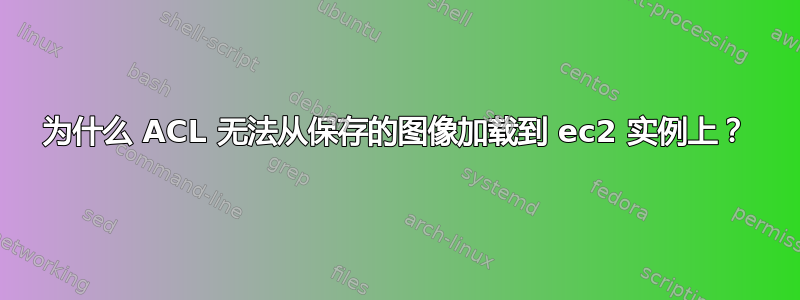 为什么 ACL 无法从保存的图像加载到 ec2 实例上？