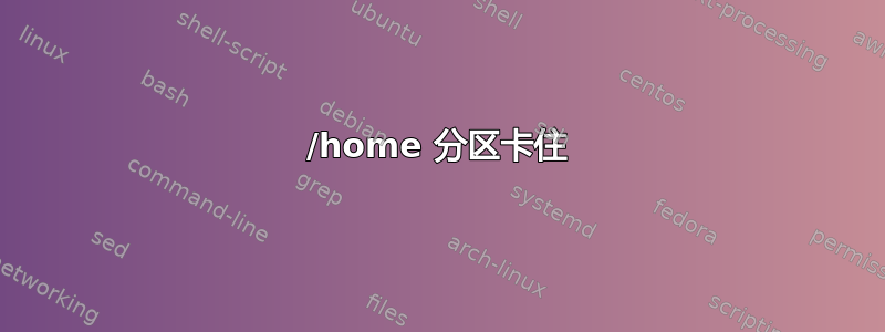 /home 分区卡住