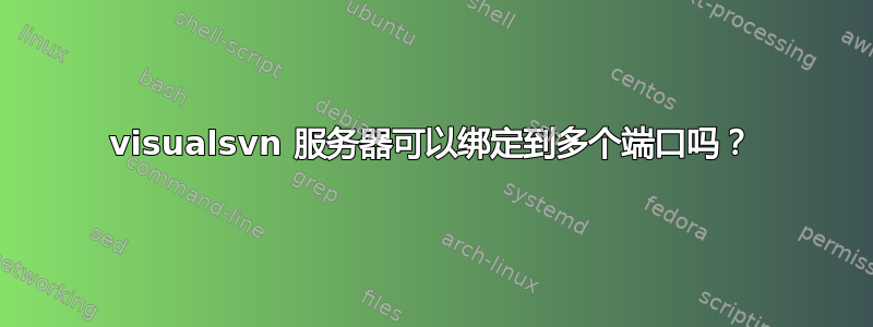 visualsvn 服务器可以绑定到多个端口吗？