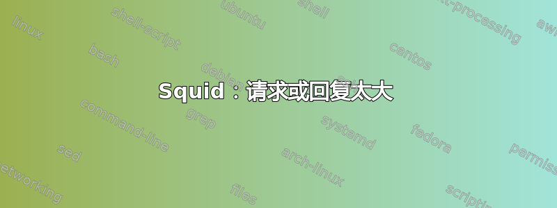 Squid：请求或回复太大