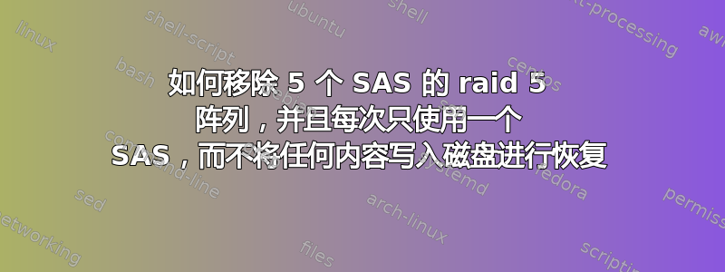 如何移除 5 个 SAS 的 raid 5 阵列，并且每次只使用一个 SAS，而不将任何内容写入磁盘进行恢复