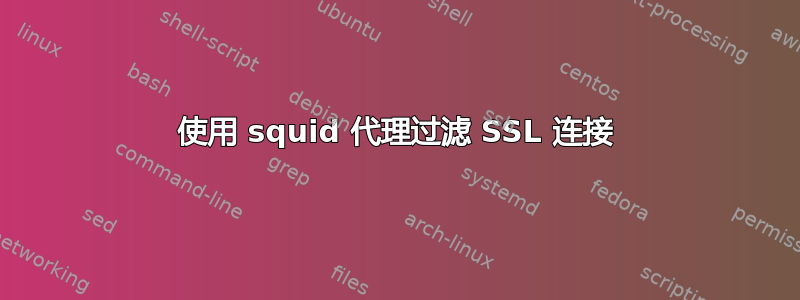 使用 squid 代理过滤 SSL 连接