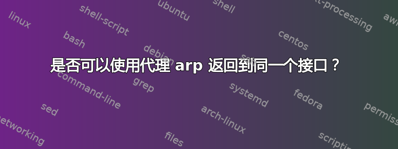 是否可以使用代理 arp 返回到同一个接口？