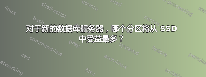 对于新的数据库服务器，哪个分区将从 SSD 中受益最多？