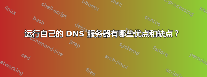 运行自己的 DNS 服务器有哪些优点和缺点？