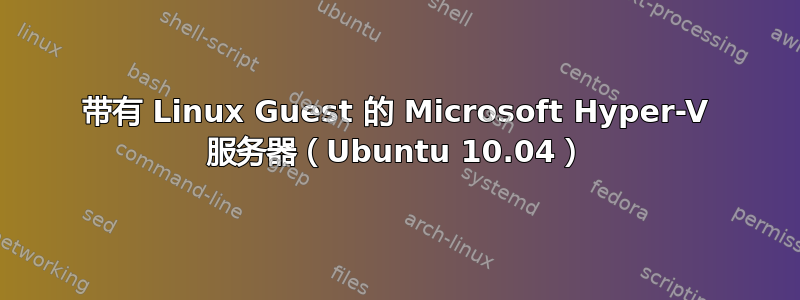 带有 Linux Guest 的 Microsoft Hyper-V 服务器（Ubuntu 10.04）