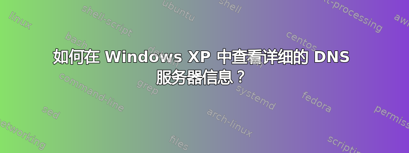 如何在 Windows XP 中查看详细的 DNS 服务器信息？