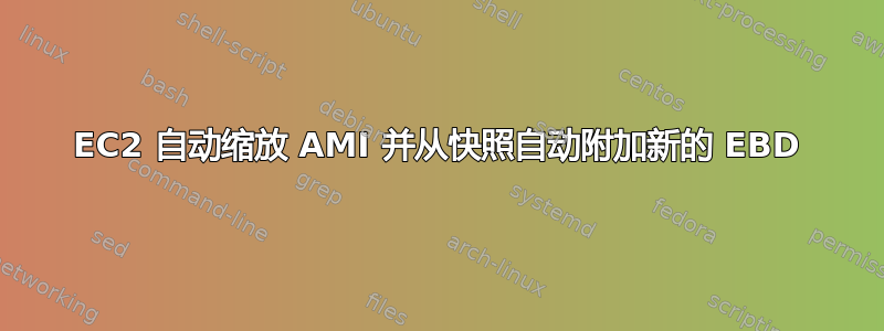 EC2 自动缩放 AMI 并从快照自动附加新的 EBD