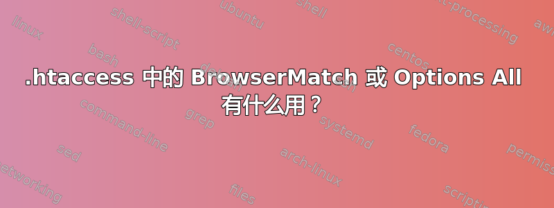 .htaccess 中的 BrowserMatch 或 Options All 有什么用？