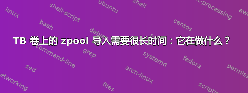 50TB 卷上的 zpool 导入需要很长时间：它在做什么？