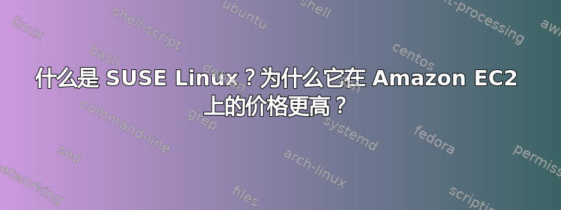 什么是 SUSE Linux？为什么它在 Amazon EC2 上的价格更高？