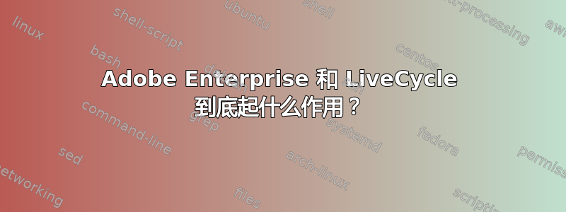 Adobe Enterprise 和 LiveCycle 到底起什么作用？