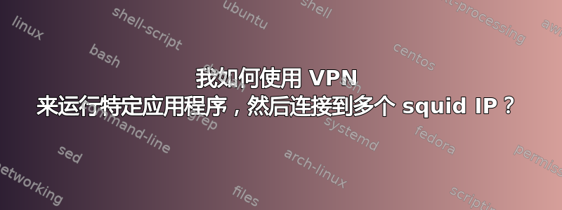 我如何使用 VPN 来运行特定应用程序，然后连接到多个 squid IP？