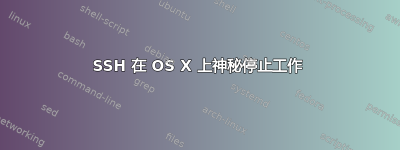 SSH 在 OS X 上神秘停止工作