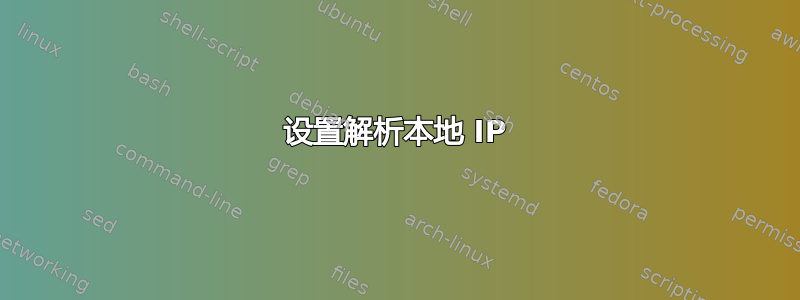 设置解析本地 IP