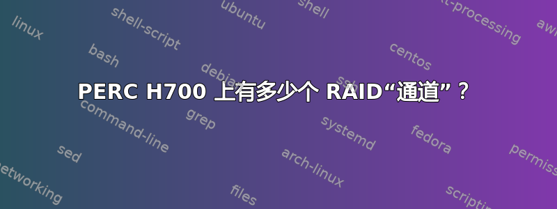 PERC H700 上有多少个 RAID“通道”？