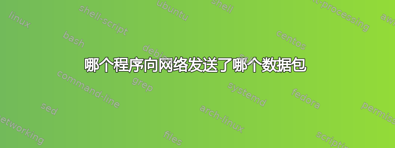 哪个程序向网络发送了哪个数据包