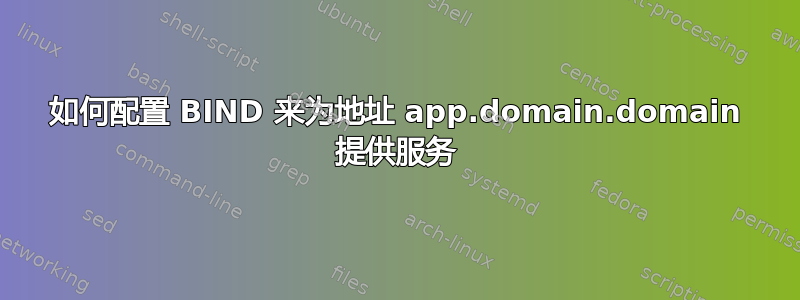 如何配置 BIND 来为地址 app.domain.domain 提供服务