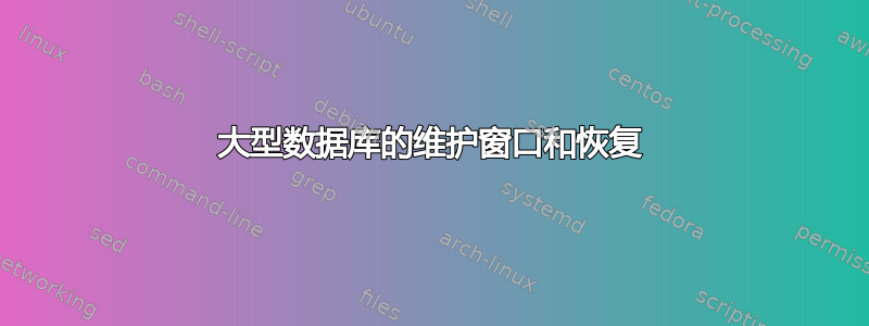 大型数据库的维护窗口和恢复