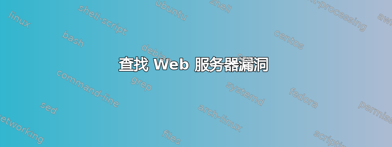 查找 Web 服务器漏洞