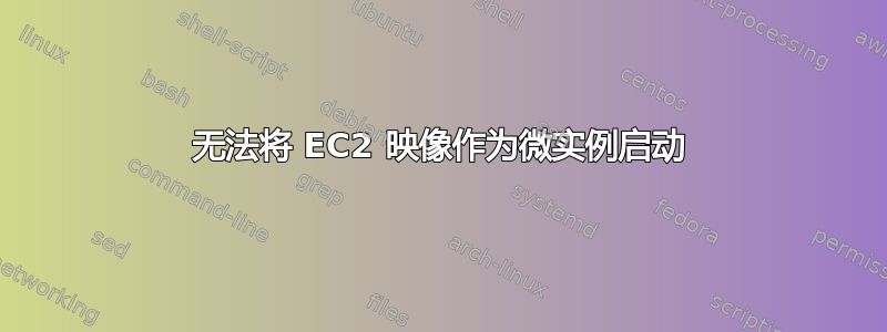 无法将 EC2 映像作为微实例启动