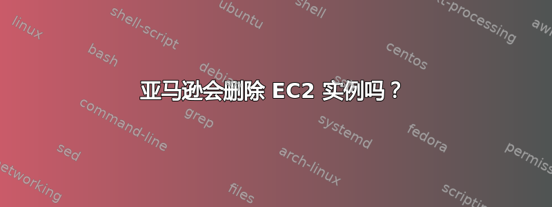 亚马逊会删除 EC2 实例吗？