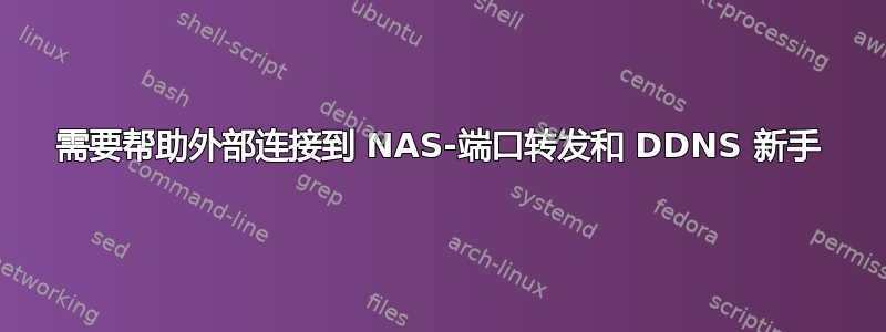 需要帮助外部连接到 NAS-端口转发和 DDNS 新手