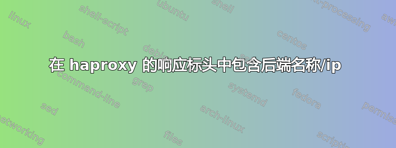 在 haproxy 的响应标头中包含后端名称/ip