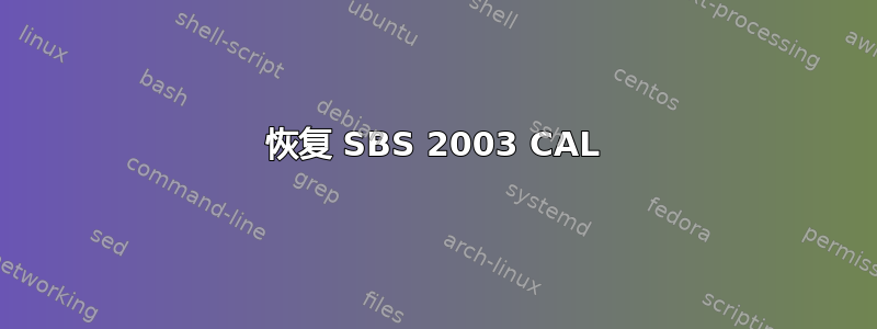 恢复 SBS 2003 CAL