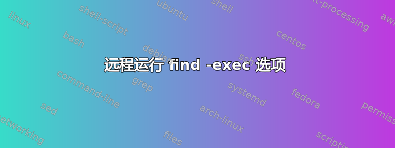 远程运行 find -exec 选项