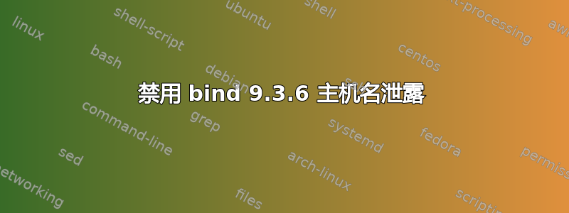 禁用 bind 9.3.6 主机名泄露