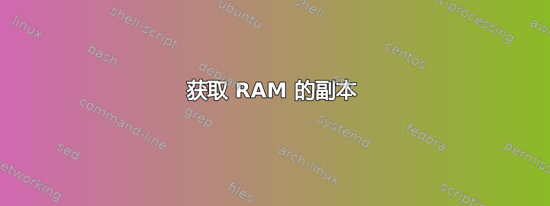 获取 RAM 的副本