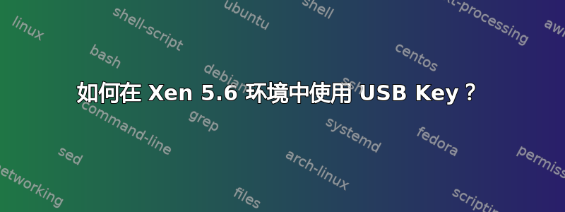 如何在 Xen 5.6 环境中使用 USB Key？