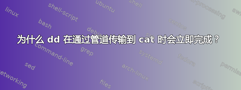 为什么 dd 在通过管道传输到 cat 时会立即完成？